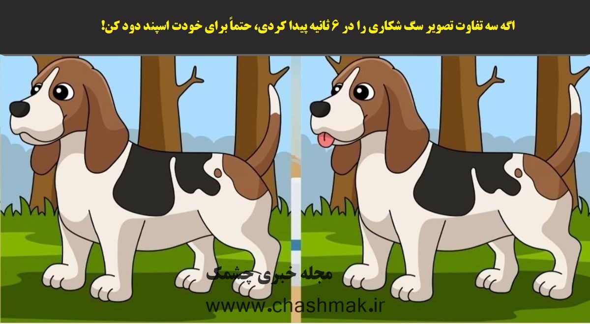 آزمون تصویری شناخت تفاوت تصویر سگ