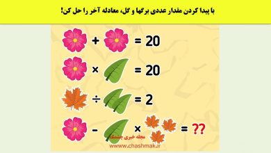 آزمون ریاضی با ارزش عددی برگ ها و گل