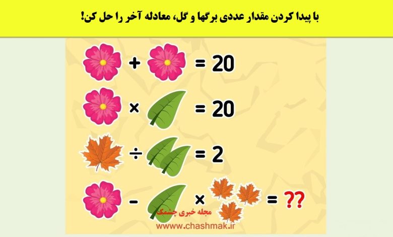 آزمون ریاضی با ارزش عددی برگ ها و گل