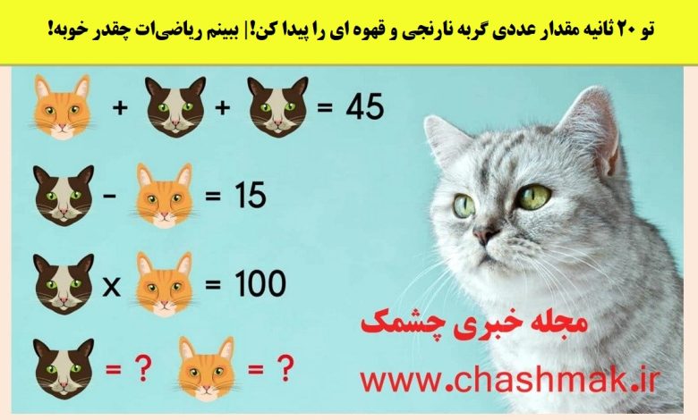 آزمون ریاضی با ارزش عددی گربه ها