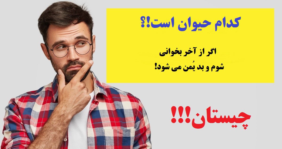 چیستان سخت 79