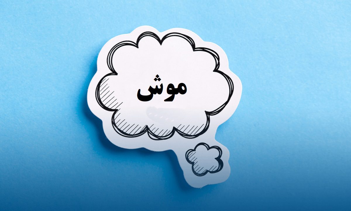 چیستان سخت 79