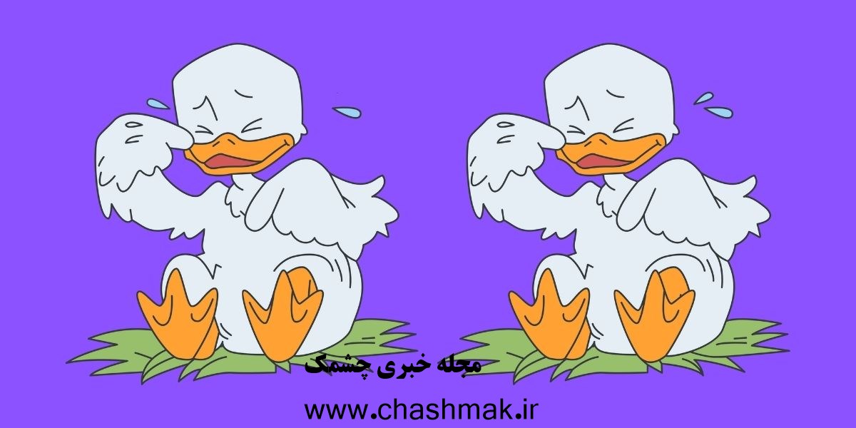 آزمون تصویری شناسایی تفاوت اردک