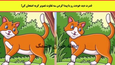 آزمون شناخت تفاوت تصویر گربه جنگل