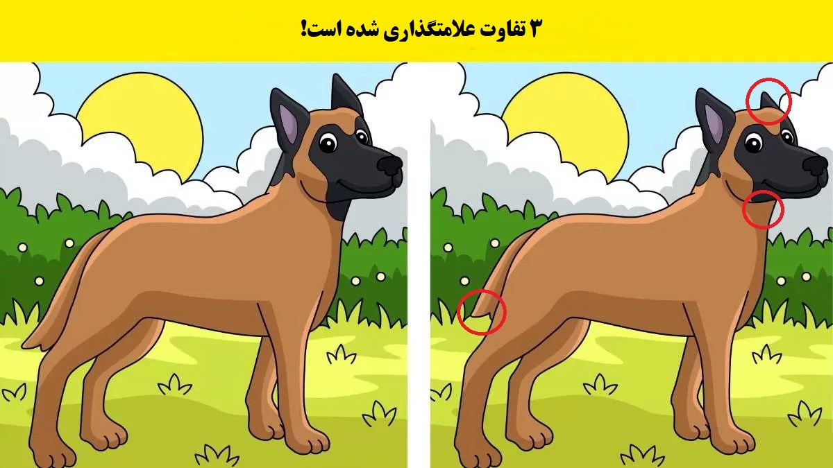 شناخت تفاوت سگ زبل