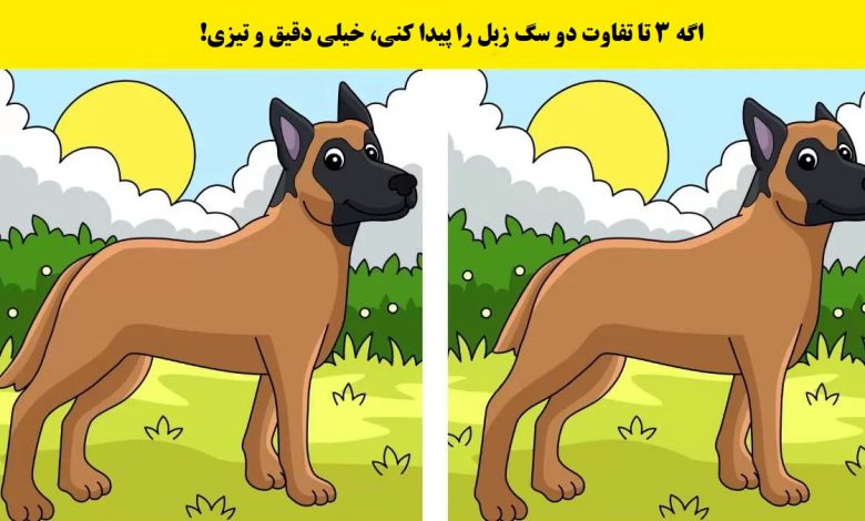 آزمون شناخت تفاوت سگ زبل