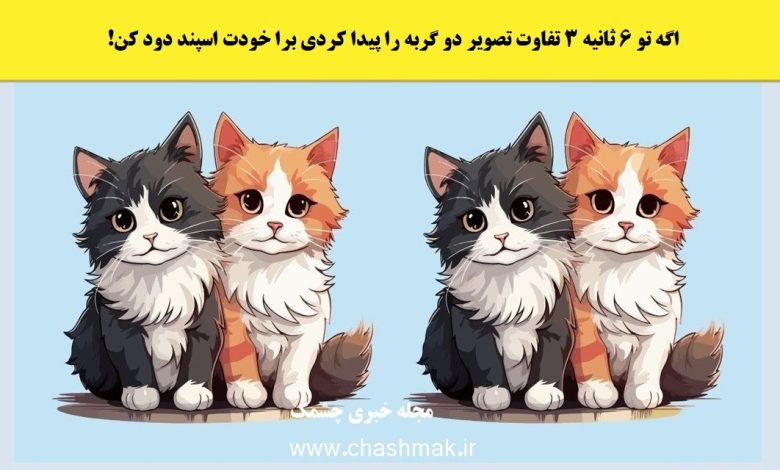 آزمون شناسایی تفاوت تصویر دو گربه