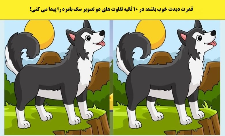 آزمون شناسایی تفاوت تصویر سگ مشکی