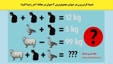 آزمون ریاضی با شناسایی وزن حیوانات
