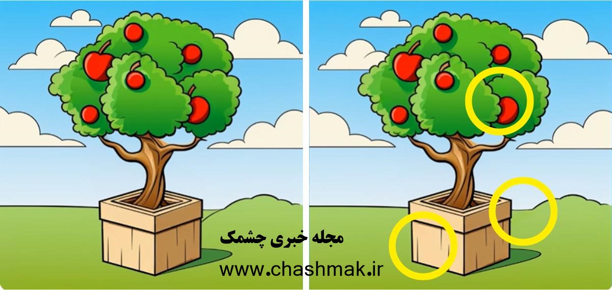 پاسخ آزمون شناسایی تفاوت تصویر درخت میوه