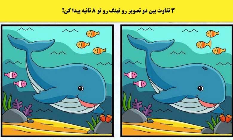 آزمون شناسایی تفاوت تصویر نهنگ