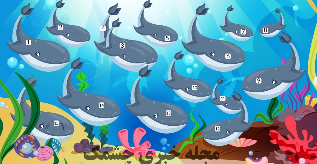 جواب تست قدرت تمرکز با تعداد نهنگ 