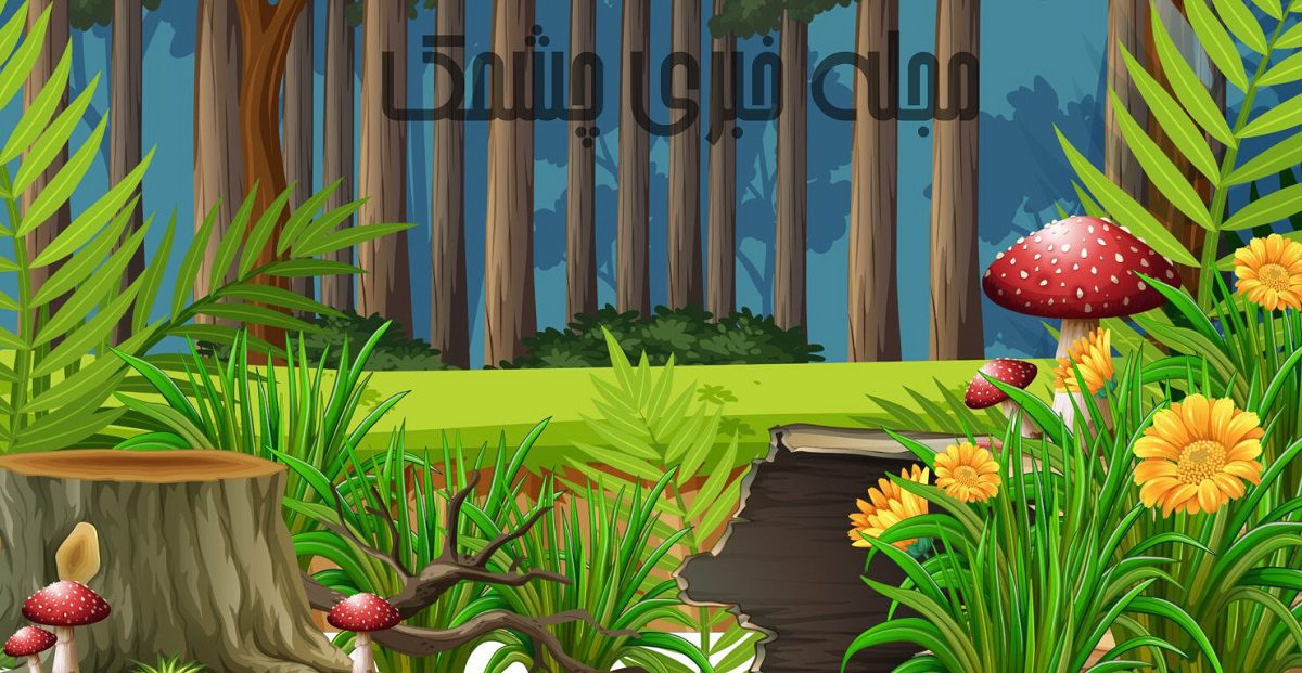 آزمون شناسایی کرم تصویر