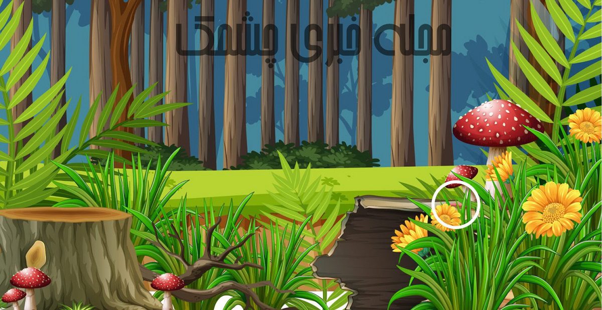 پاسخ آزمون شناسایی کرم تصویر