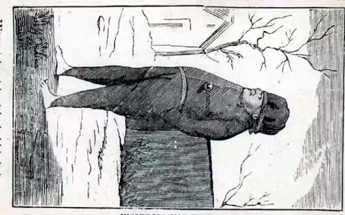 جواب آزمون قدرت تمرکز با تصویر انسان و الاغ