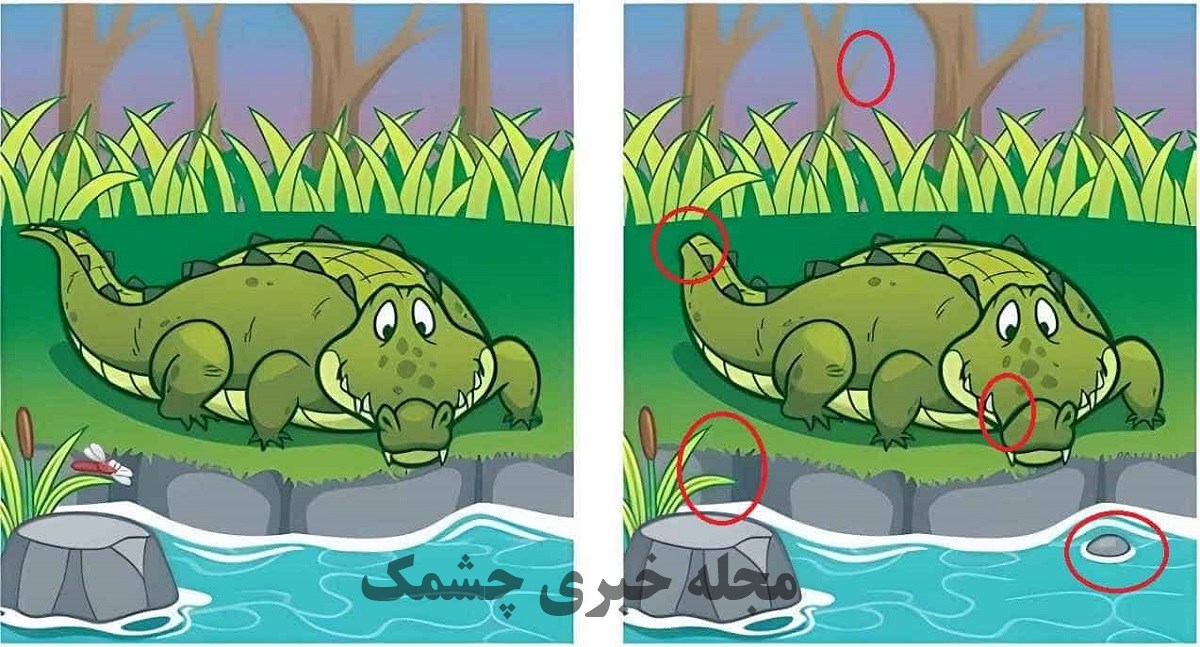 پاسخ آزمون شناسایی تفاوت تصویر تمساح