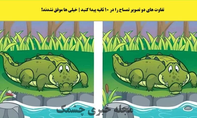 آزمون شناسایی تفاوت تصویر تمساح