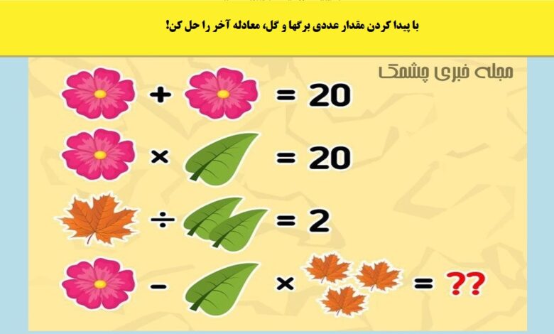 سوال ریاضی با ارزش عددی برگ ها و گل
