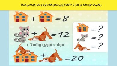 سوال ریاضی با ارزش عددی سگ و گربه