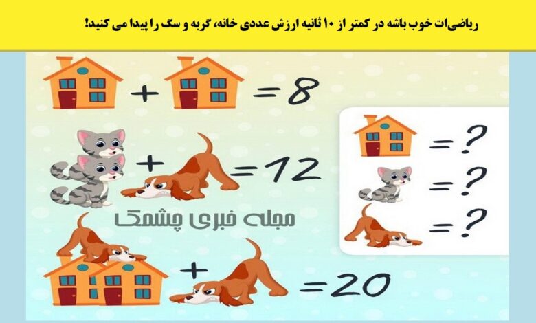 سوال ریاضی با ارزش عددی سگ و گربه