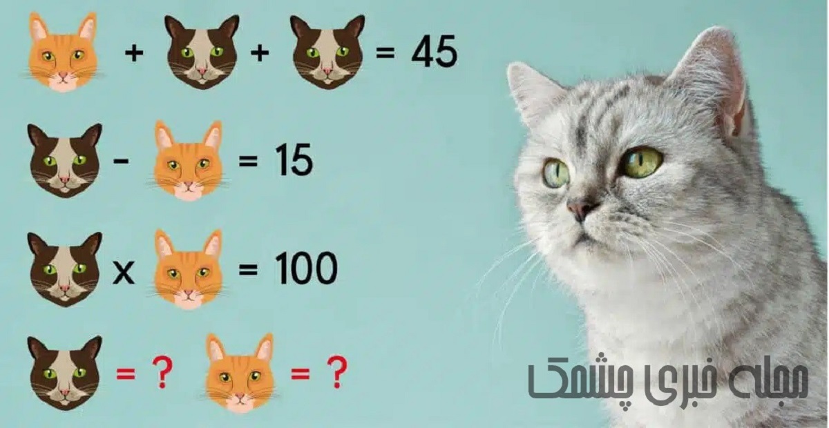 سوال هوش ریاضی با ارزش عددی گربه ها