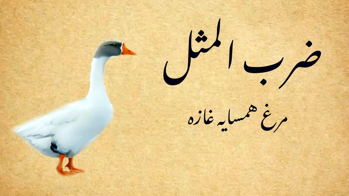 ضرب المثل مرغ همسایه غاز است