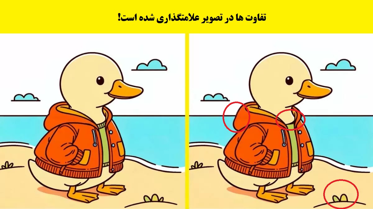 پاسخ آزمون شناسایی تفاوت تصویر اردک