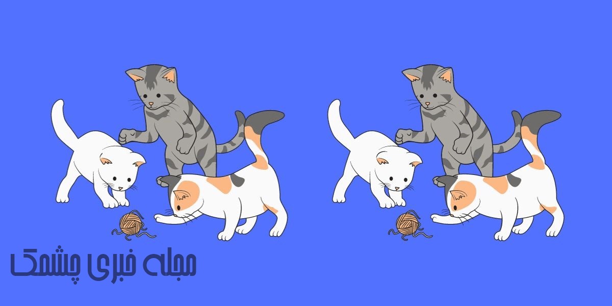 آزمون شناسایی تفاوت تصویر گربه ها