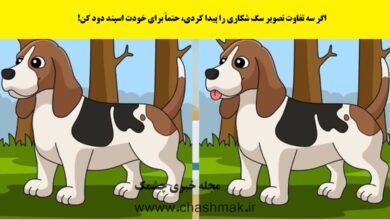 سوال تصویری شناخت تفاوت تصویر سگ