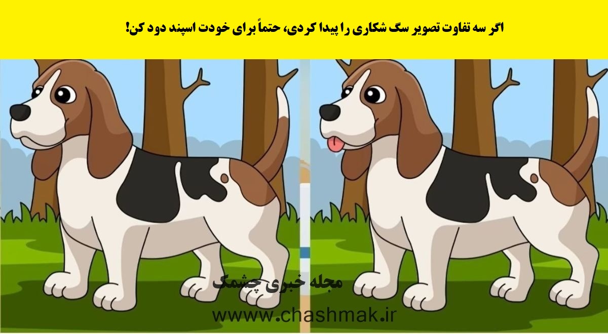 سوال تصویری شناخت تفاوت تصویر سگ