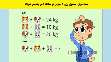سوال ریاضی با مقدار وزن حیوانات