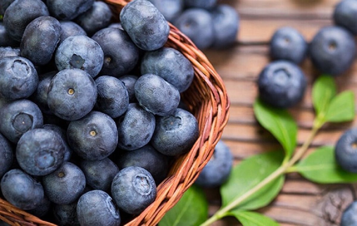 مواد غذایی برای زیبایی