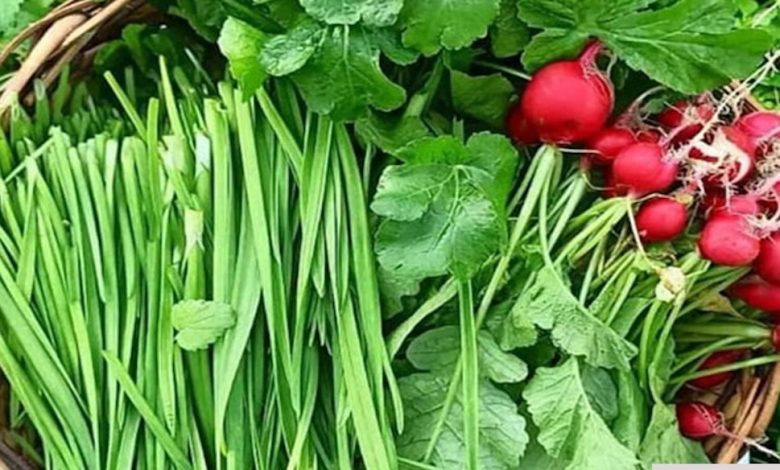 نگهداری سبزی خوردن در یخچال