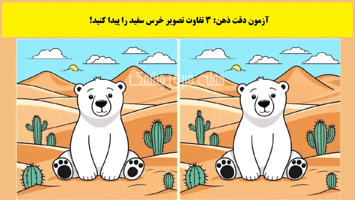 آزمون شناخت تفاوت تصویر خرس سفید