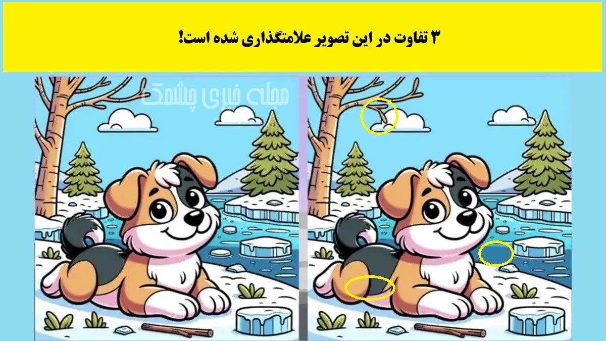پاسخ آزمون شناخت تفاوت تصویر سگ میان برف