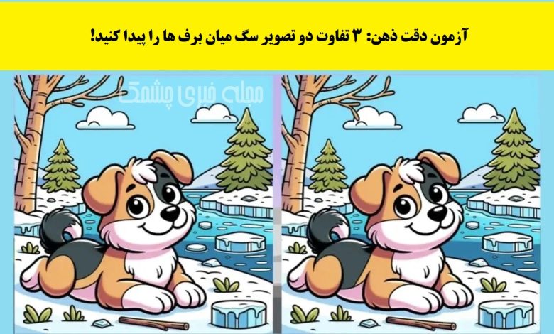 آزمون شناخت تفاوت تصویر سگ میان برف