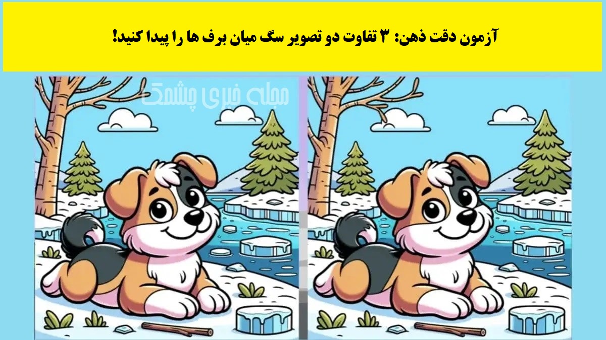 آزمون شناخت تفاوت تصویر سگ میان برف