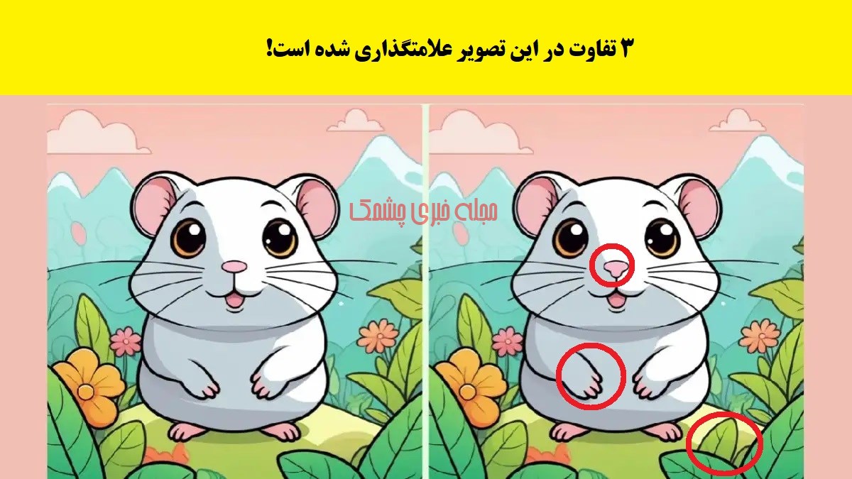 پاسخ آزمون شناخت تفاوت تصویر موش سفید