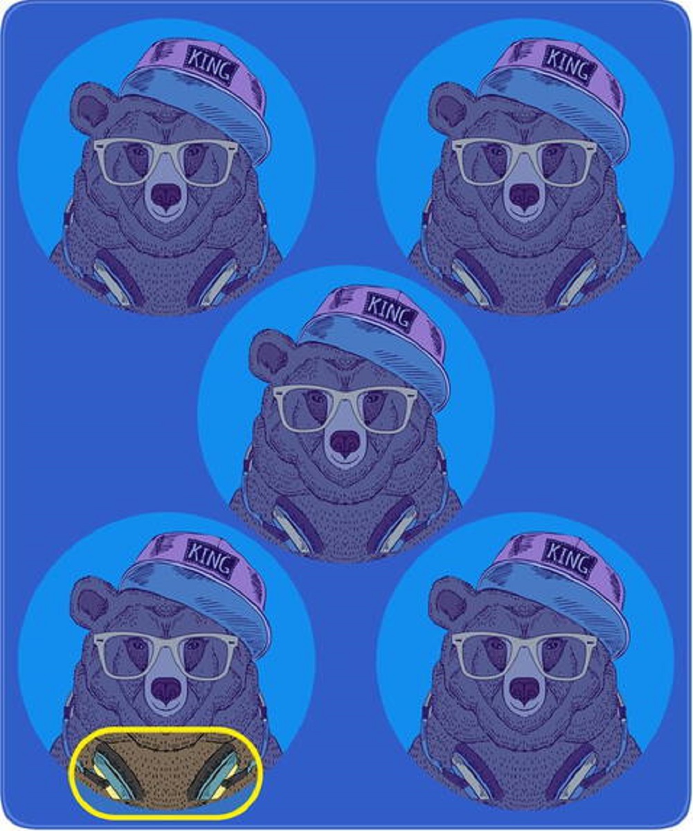 جواب سوال تصویری شناسایی خرس متفاوت