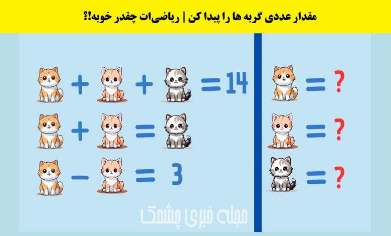 سوال ریاضی با ارزش عددی گربه ها