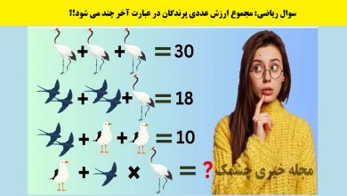 سوال ریاضی با مجموع عددی پرندگان