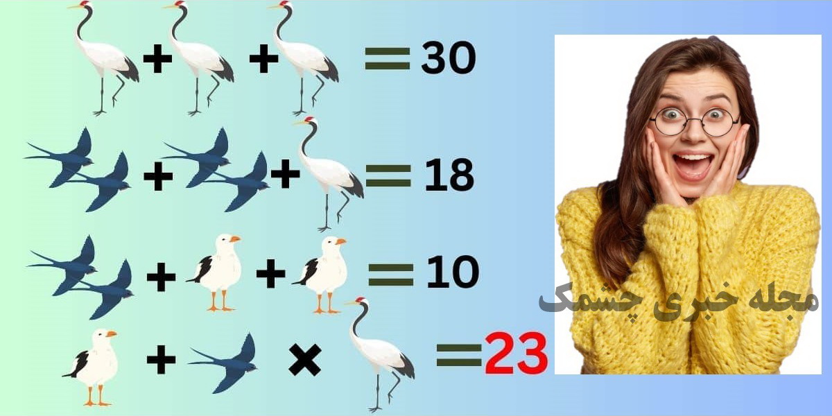 پاسخ سوال ریاضی با مجموع عددی پرندگان