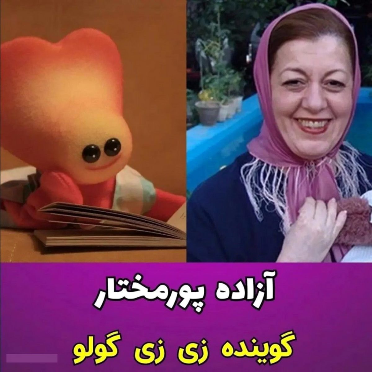 بازیگران زی زی گولو