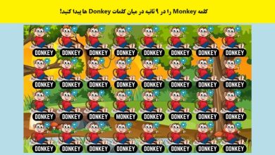 آزمون تصویری شناسایی کلمه Monkey