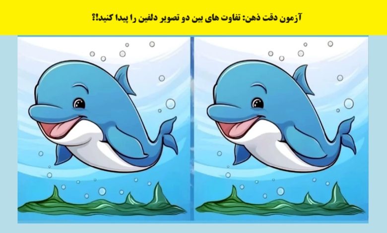 آزمون شناخت تفاوتهای تصویر دلفین