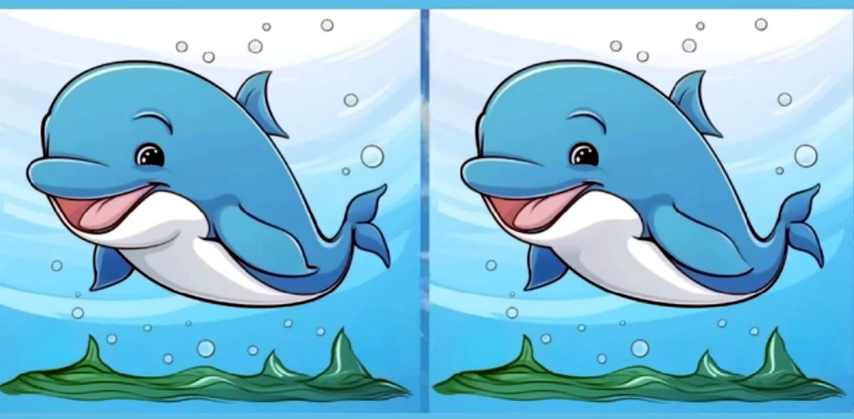 آزمون شناخت تفاوتهای تصویر دلفین