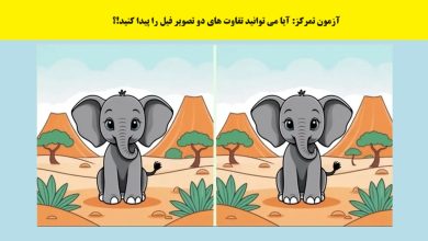 آزمون شناخت تفاوتهای تصویر فیل