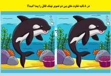 آزمون شناخت تفاوتهای تصویر نهنگ قاتل