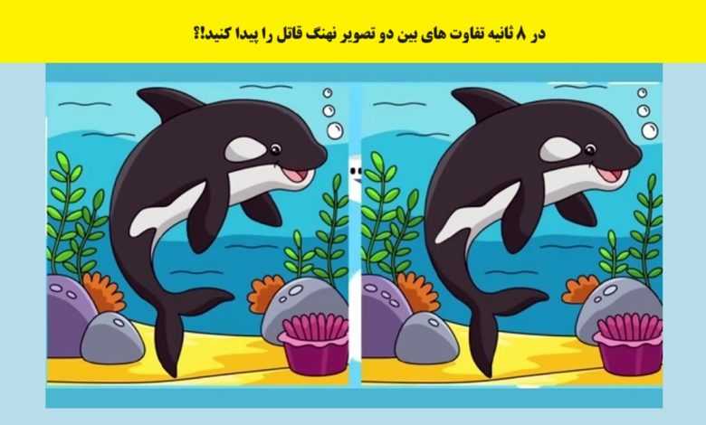 آزمون شناخت تفاوتهای تصویر نهنگ قاتل
