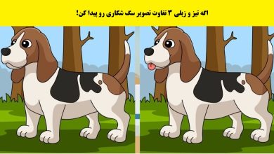 سوال تصویری تفاوت تصویر سگ شکاری